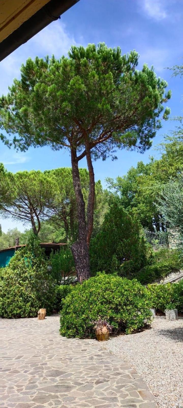 Villa Santa Margherita - La Suvera Ponte A Bozzone Exterior foto